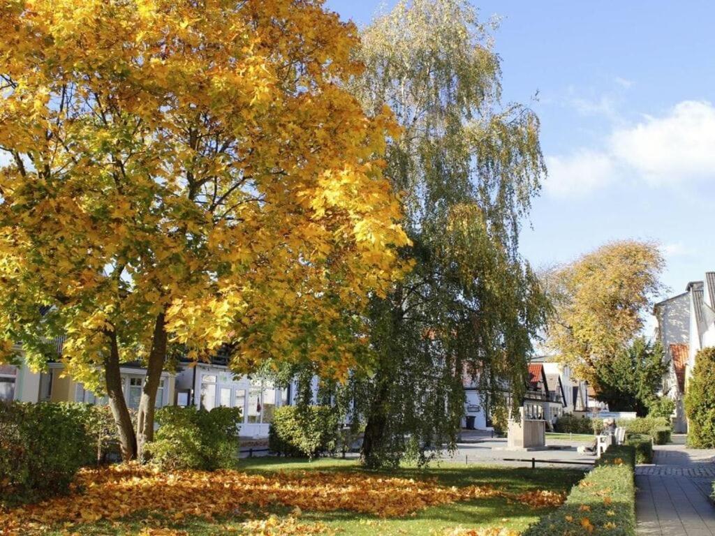 Ferienhaus On The Old River Modern Retreat