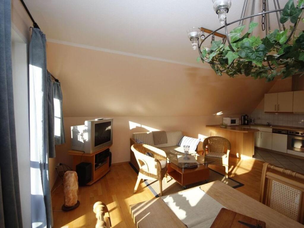 On The Old River Modern Retreat *